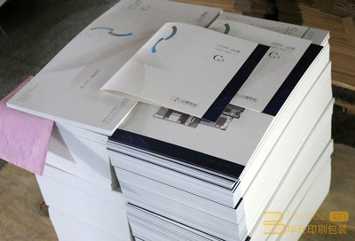 專業(yè)樓書印刷服務 仁恒公園世紀項目二折頁與樓書印刷方案解析