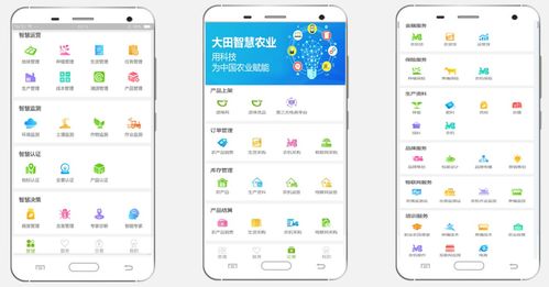 大田智慧農業 以1.28億元數字化服務，筑牢農產品安全生命線